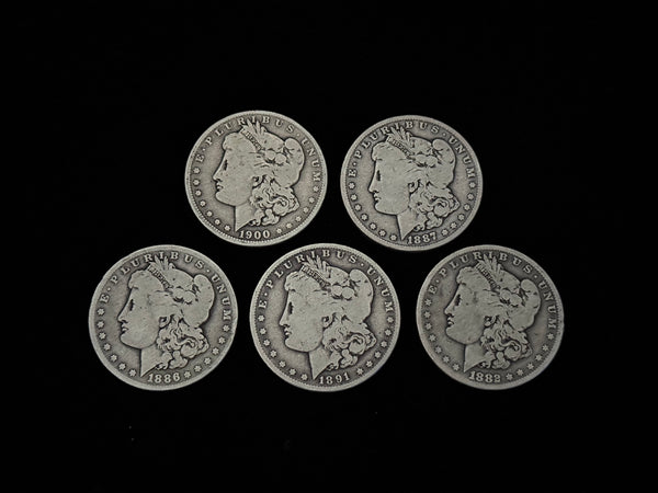 Expanded Shell Set - *PREMIUM* Soft Morgan Dollar #1
