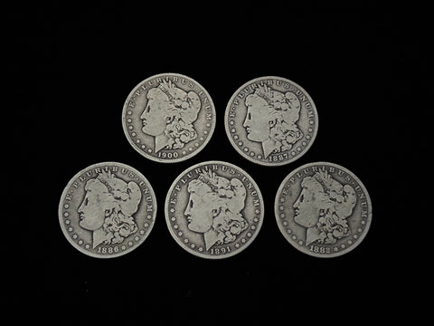 Expanded Shell Set - *PREMIUM* Soft Morgan Dollar #1