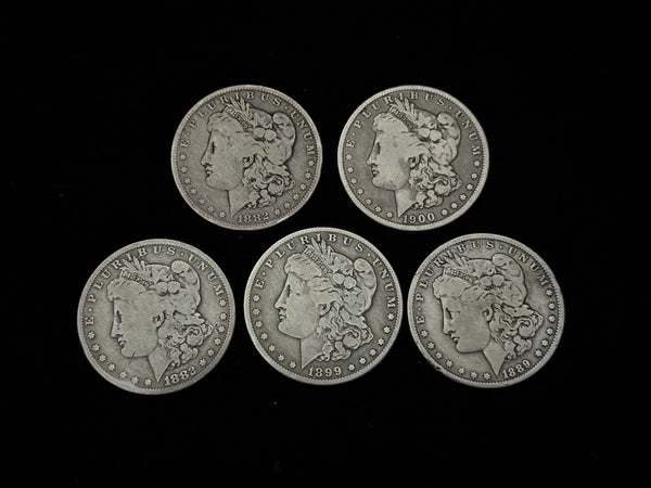 Expanded Shell Set - *PREMIUM* Soft Morgan Dollar #2