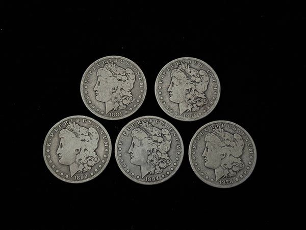 Expanded Shell Set - *PREMIUM* Soft Morgan Dollar #3