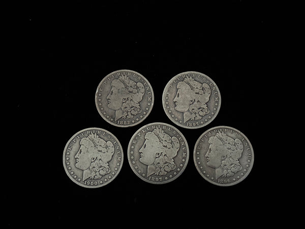 Expanded Shell Set - *PREMIUM* Soft Morgan Dollar #4