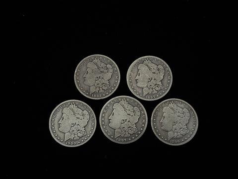 Expanded Shell Set - *PREMIUM* Soft Morgan Dollar #4