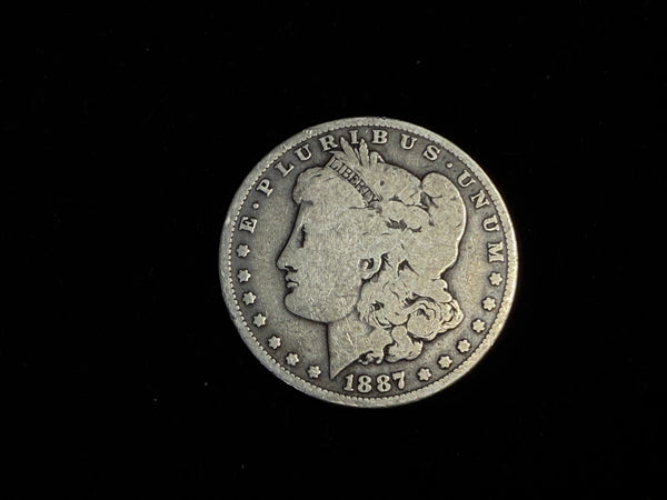 Expanded Shell - *PREMIUM* Soft Morgan Dollar #2