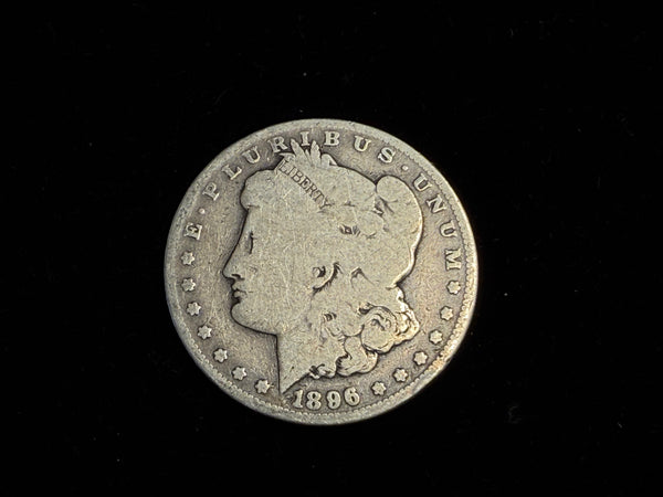 Expanded Shell - *PREMIUM* Soft Morgan Dollar #3