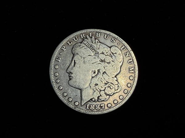 Expanded Shell - *PREMIUM* Soft Morgan Dollar #4