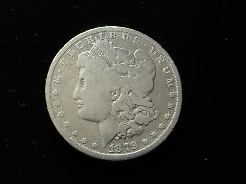 Expanded Shell - Soft Morgan #4