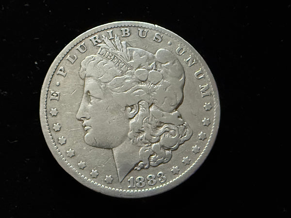 Expanded Shell - Soft Morgan #5