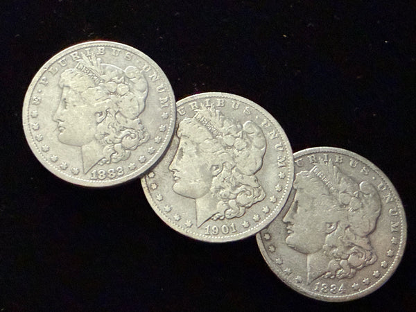 3CM - Soft Morgan Dollar #3