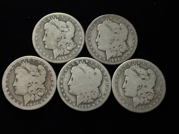 Dean's Set - *SUPER SOFT* Soft Morgan #1