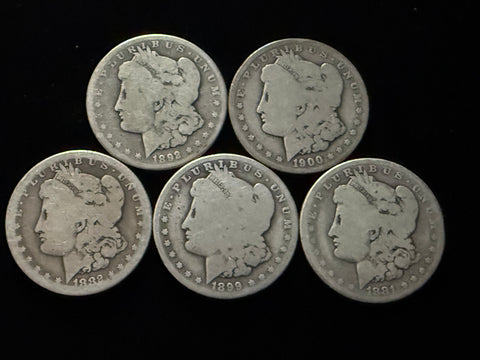 Dean's Set - *SUPER SOFT* Soft Morgan #1