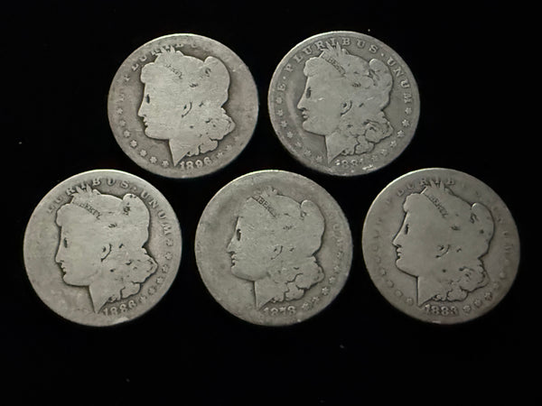 Dean's Set - *SUPER SOFT* Soft Morgan #2