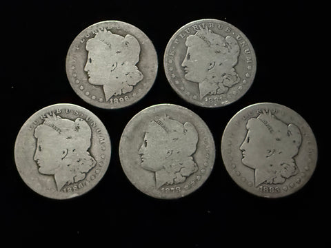 Dean's Set - *SUPER SOFT* Soft Morgan #2