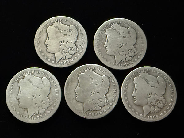 Dean's Set - *SUPER SOFT* Soft Morgan #3