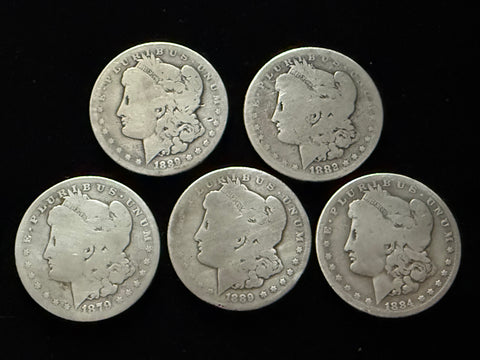 Dean's Set - *SUPER SOFT* Soft Morgan #3