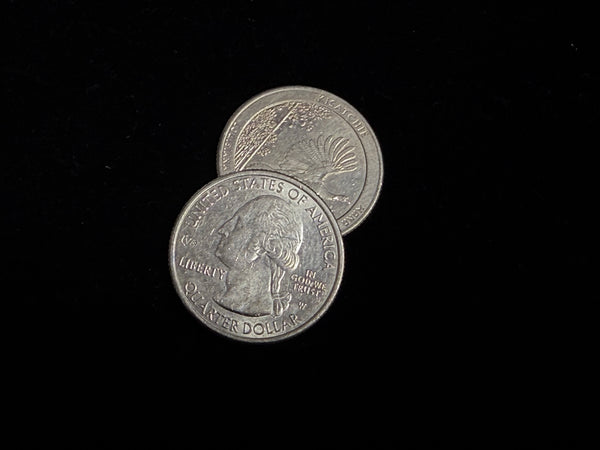 *Pre-Order Release* Gravity Flipper - Quarter