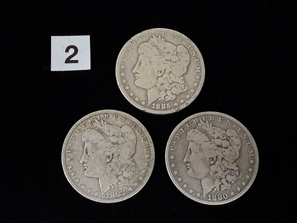 *PRE-ORDER RELEASE* 3CM - Soft Morgan Dollar #2