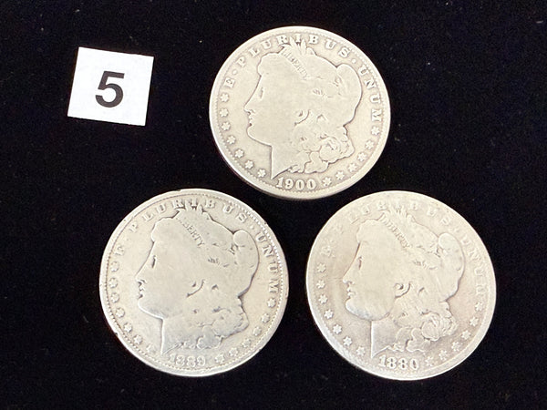 *PRE-ORDER RELEASE* 3CM - Soft Morgan Dollar #5