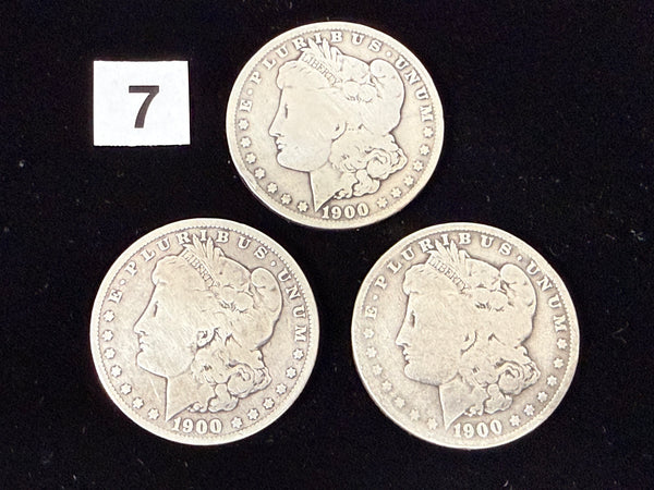 *PRE-ORDER RELEASE* 3CM - Soft Morgan Dollar #7