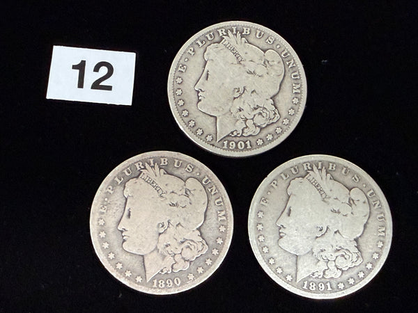 *PRE-ORDER RELEASE* 3CM - Soft Morgan Dollar #12