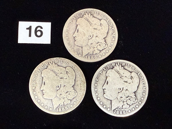 *PRE-ORDER RELEASE* 3CM - Soft Morgan Dollar #16