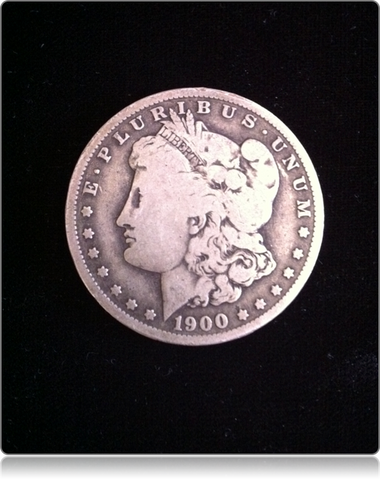 *CUSTOMER SUPPLIED COINS* Expanded Shell - Soft Morgan Dollar